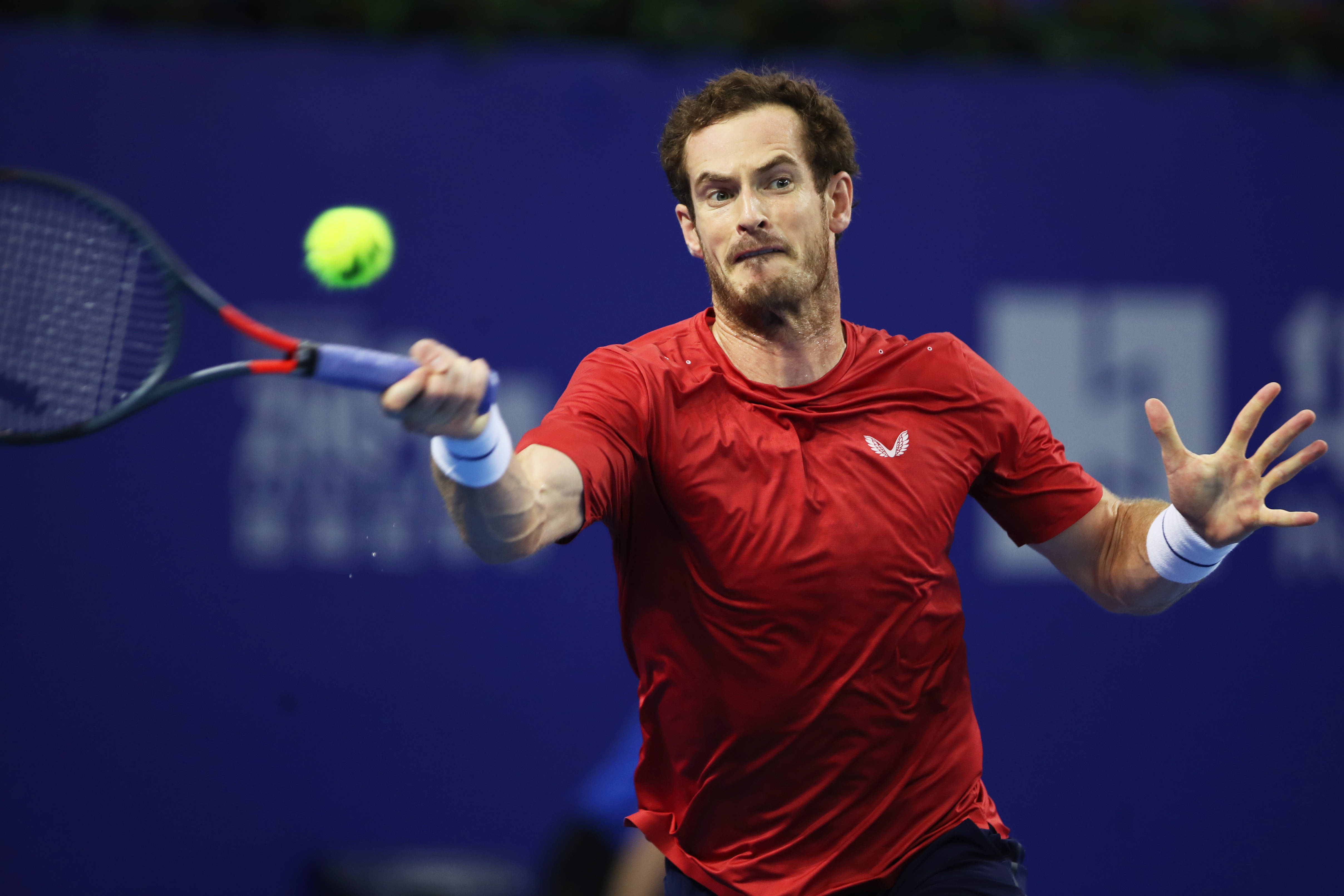 开云体育-穆雷回归赛场，精彩发挥首场状态亮眼，澳大利亚队观众沸腾！的简单介绍